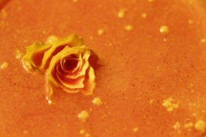 photo rose bleu